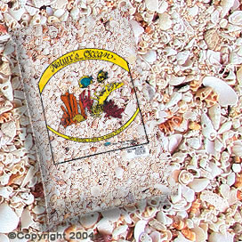Natures OceanŽ Hawaiian Puka Shell #5 Natures OceanŽ Hawaiian Puka Shell #5