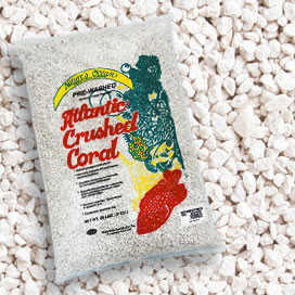 Natures OceanŽ Premium Atlantic Crushed Coral Sand with Aragonite #4 Natures OceanŽ Premium Atlantic Crushed Coral Sand with Aragonite #4
