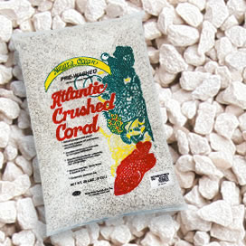 Natures OceanŽ Premium Atlantic Crushed Coral Sand with Aragonite #8 Natures OceanŽ Premium Atlantic Crushed Coral Sand with Aragonite #8